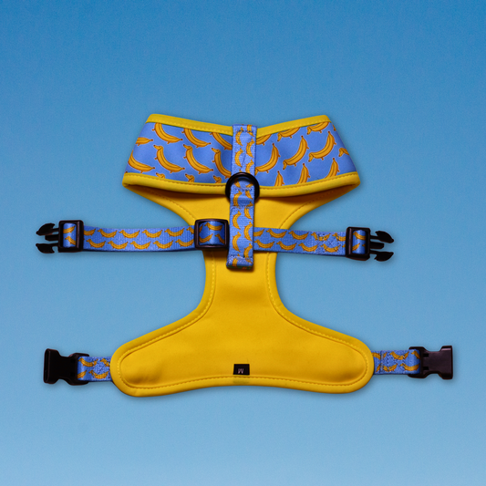 Paw-nana Reversible Dog Harness