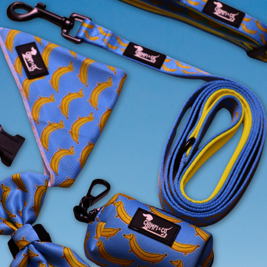 Paw-nana Reversible Dog Harness Bundle