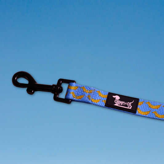 Paw-nana Dog Leash