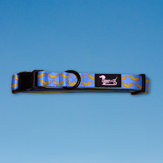 Paw-nana Dog Collar