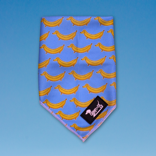 Paw-nana Dog Bandana