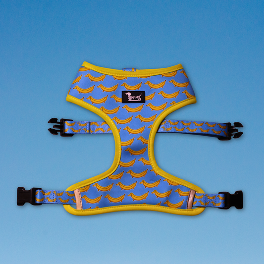 Paw-nana Reversible Dog Harness