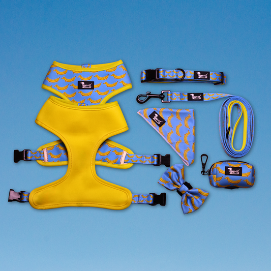 Paw-nana Reversible Dog Harness Bundle
