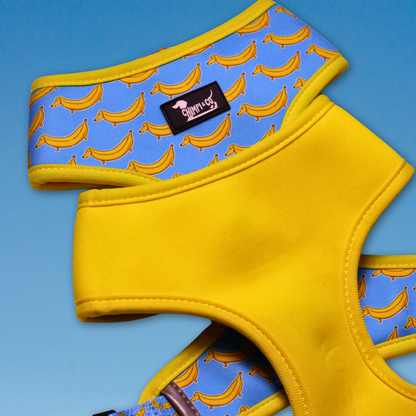 Paw-nana Reversible Dog Harness